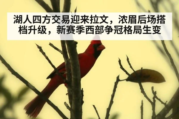 湖人四方交易迎来拉文，浓眉后场搭档升级，新赛季西部争冠格局生变